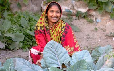 Fostering Livelihoods